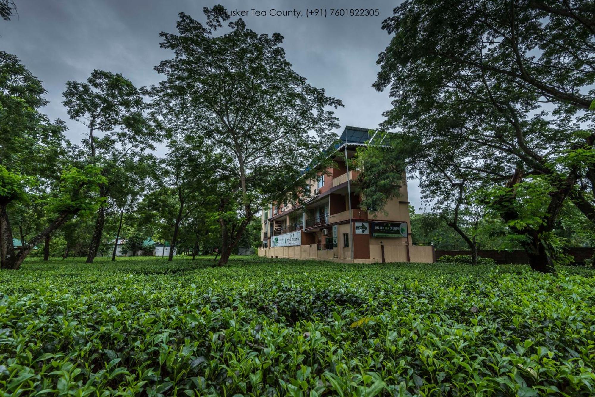 Tusker Tea County Hotel Chālsa Exterior foto